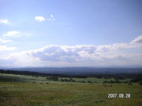 s_PICT0352.jpg